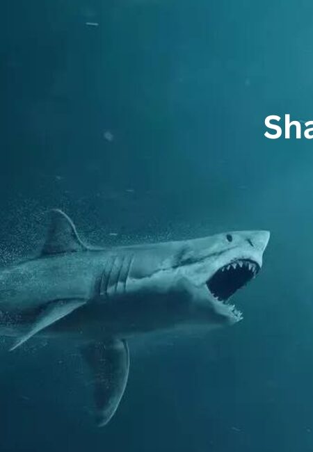 What is the Mega shark movie on Netflix?