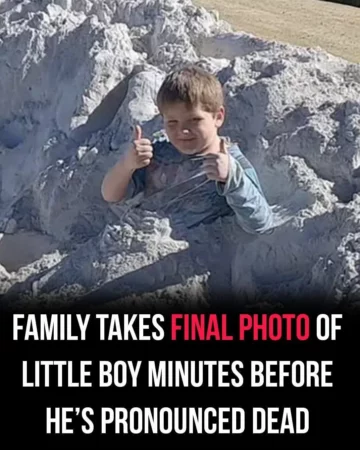 Heartbroken family posts photo of smiling boy, who leapt into toxic powder unaware it was deadly
