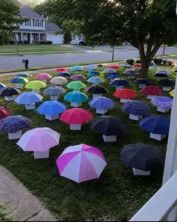 After My Son Shared His Umbrella, Our Family Received a Mysterious Gift